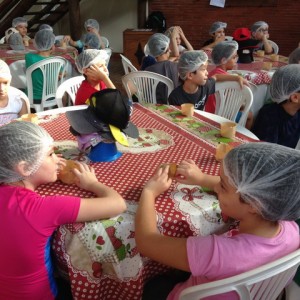 FAZENDO FAZENDA 2017