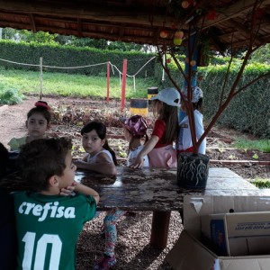 FAZENDO FAZENDA 2º ANO -  2018