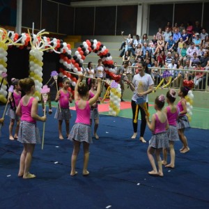 FESTIVAL DE GINÁSTICA 2017