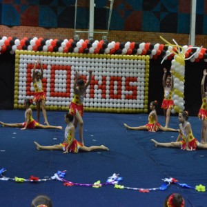 FESTIVAL DE GINÁSTICA 2017