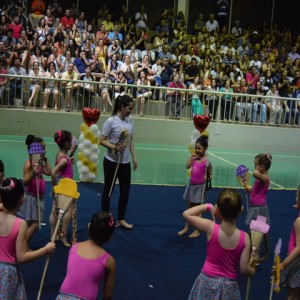 FESTIVAL DE GINÁSTICA 2017