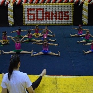 FESTIVAL DE GINÁSTICA 2017