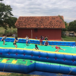 FAZENDO FAZENDA 5º ANO -  2018