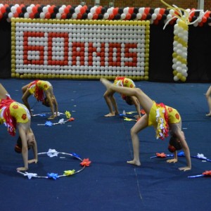 FESTIVAL DE GINÁSTICA 2017