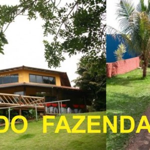 FAZENDO FAZENDA 1º ANO -  2018