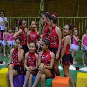 FESTIVAL DE GINÁSTICA 2017