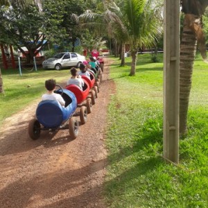 FAZENDO FAZENDA 4º ANO -  2018