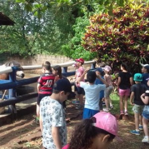 FAZENDO FAZENDA 2º ANO -  2018