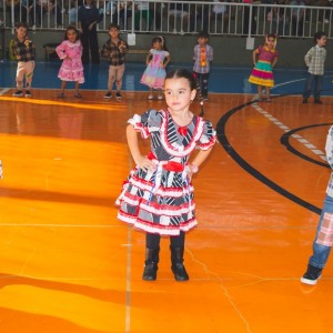 FESTA JUNINA - É O ARRAIÁ DO SANTÃO 2024