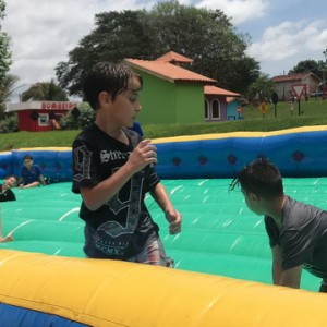 FAZENDO FAZENDA 3º ANO -  2018