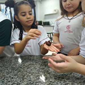 VISITA AO LABORATÓRIO DE CIÊNCIAS