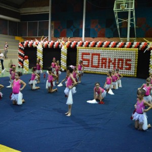 FESTIVAL DE GINÁSTICA 2017