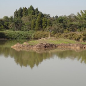 VIAGEM DE ESTUDO AO SÍTIO DO CARROÇÃO