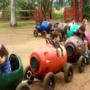 FAZENDO FAZENDA 2017