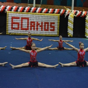 FESTIVAL DE GINÁSTICA 2017