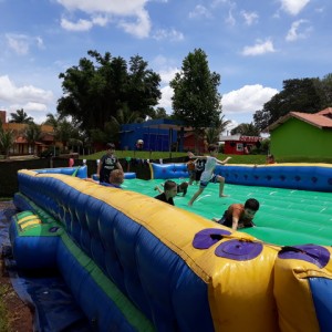 FAZENDO FAZENDA 2º ANO -  2018