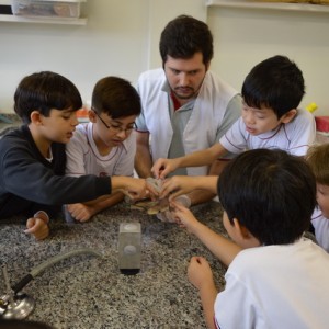 AULA NO LABORATÓRIO SOBRE ANIMAIS VERTEBRADOS E INVERTEBRADOS