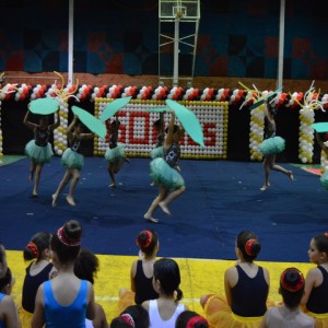 FESTIVAL DE GINÁSTICA 2017