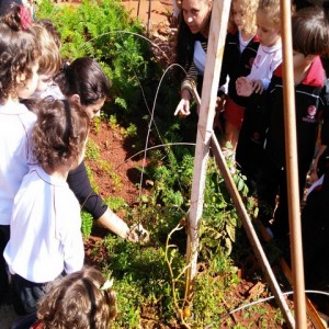 VISITA AO LABORATÓRIO: EXPLORANDO BICHINHOS DE JARDIM