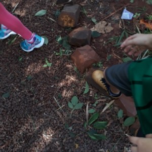 FAZENDO FAZENDA 2º ANO -  2018