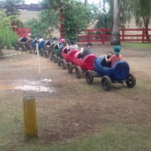 FAZENDO FAZENDA 2º ANO -  2018