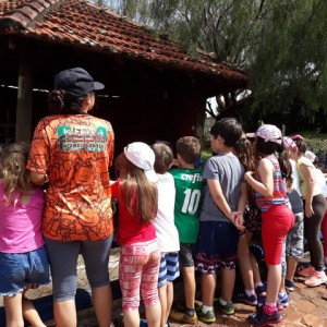 FAZENDO FAZENDA 2º ANO -  2018