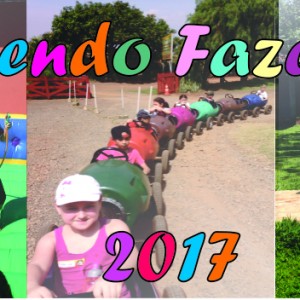 FAZENDO FAZENDA 2017