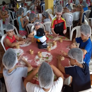 FAZENDO FAZENDA 2017