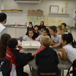 AULA NO LABORATÓRIO SOBRE ANIMAIS VERTEBRADOS E INVERTEBRADOS