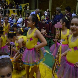 FESTIVAL DE GINÁSTICA 2017