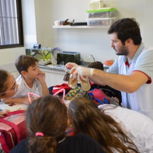 AULA NO LABORATÓRIO SOBRE ANIMAIS VERTEBRADOS E INVERTEBRADOS