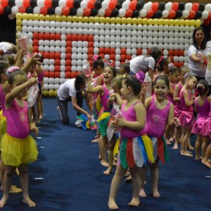 FESTIVAL DE GINÁSTICA 2017