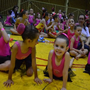 FESTIVAL DE GINÁSTICA 2017