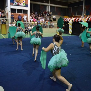 FESTIVAL DE GINÁSTICA 2017