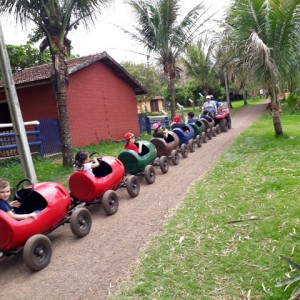 FAZENDO FAZENDA 1º ANO -  2018