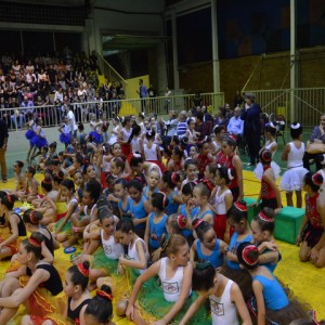 FESTIVAL DE GINÁSTICA 2017