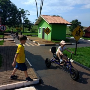 FAZENDO FAZENDA 1º ANO -  2018