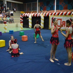 FESTIVAL DE GINÁSTICA 2017