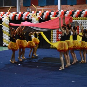 FESTIVAL DE GINÁSTICA 2017