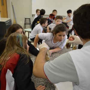 AULA NO LABORATÓRIO SOBRE ANIMAIS VERTEBRADOS E INVERTEBRADOS