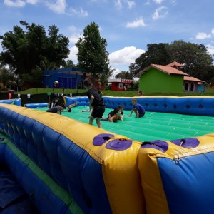 FAZENDO FAZENDA 2º ANO -  2018