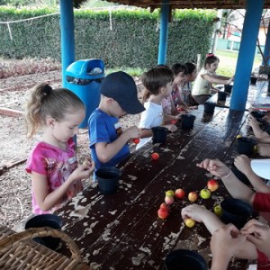 FAZENDO FAZENDA 2º ANO -  2018