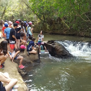 VIAGEM DE ESTUDO AO SÍTIO DO CARROÇÃO