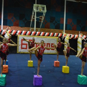 FESTIVAL DE GINÁSTICA 2017