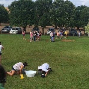 FAZENDO FAZENDA 5º ANO -  2018