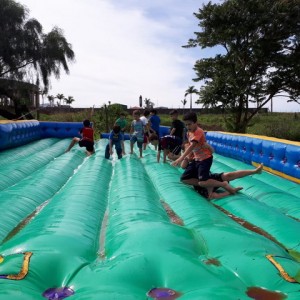 FAZENDO FAZENDA 2º ANO -  2018