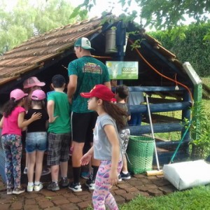 FAZENDO FAZENDA 2º ANO -  2018