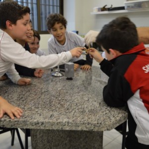 AULA NO LABORATÓRIO SOBRE ANIMAIS VERTEBRADOS E INVERTEBRADOS