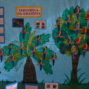 MOSTRA DE TRABALHOS - INFANTIL IV