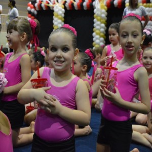 FESTIVAL DE GINÁSTICA 2017